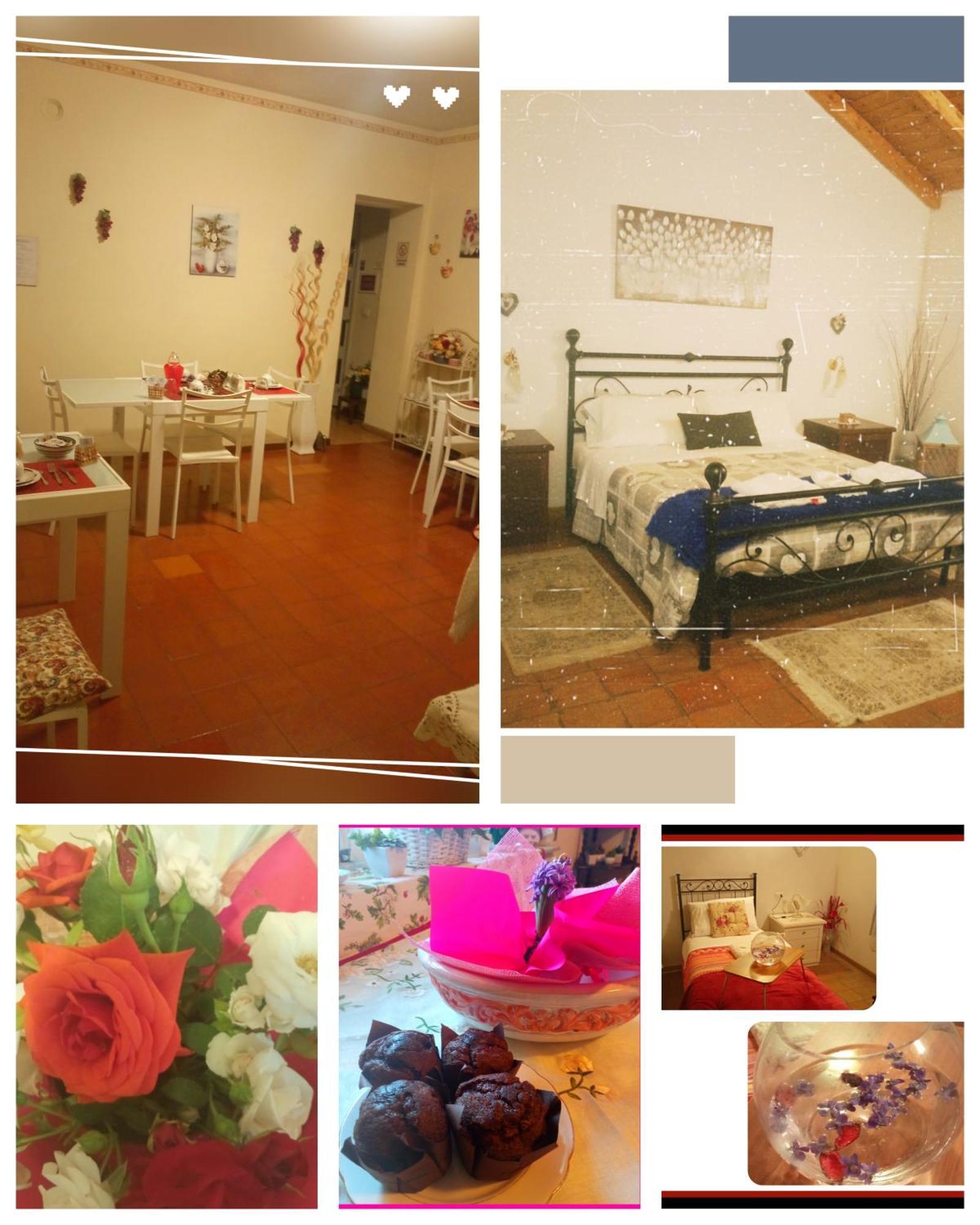 Bed & Breakfast Felix House Codevilla
